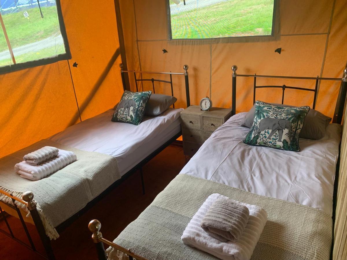 Mountain View Safari Tent With Hot Tub In The Heart Of Snowdonia 多尔盖罗 外观 照片