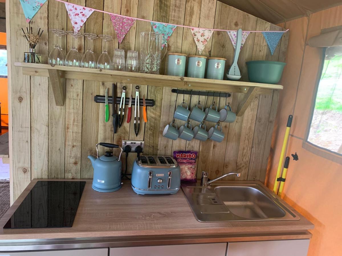 Mountain View Safari Tent With Hot Tub In The Heart Of Snowdonia 多尔盖罗 外观 照片